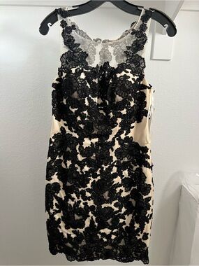 Decode 1.8 Black Lace Appliqué Dress on Nude Base